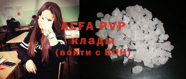 мяу мяу мука Баксан