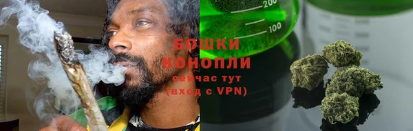 spice Аркадак