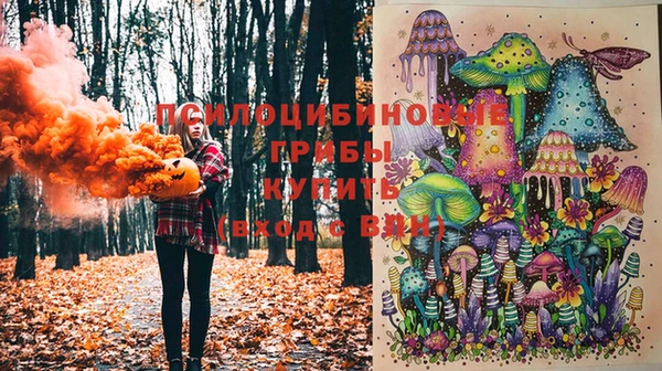 прущие крисы Армянск