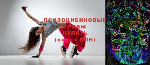 мяу мяу мука Баксан