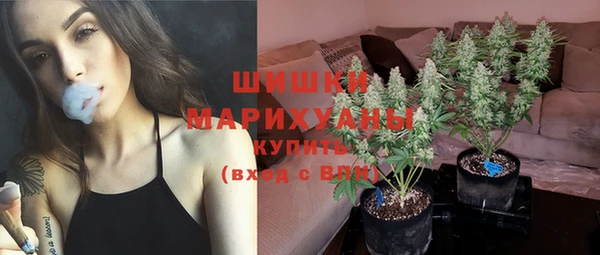 ГАЛЛЮЦИНОГЕННЫЕ ГРИБЫ Балабаново