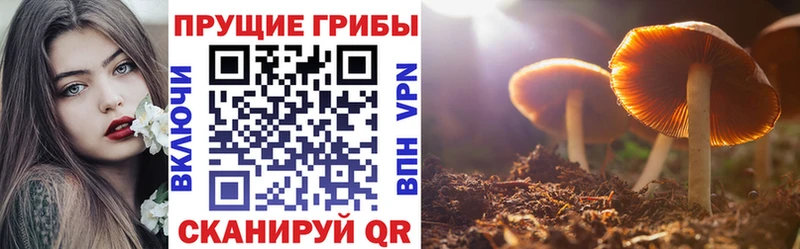 Псилоцибиновые грибы Magic Shrooms  darknet наркотические препараты  Венёв 